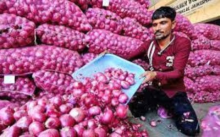 ଆଜିଠୁ କମିବ ପିଆଜ ଦର