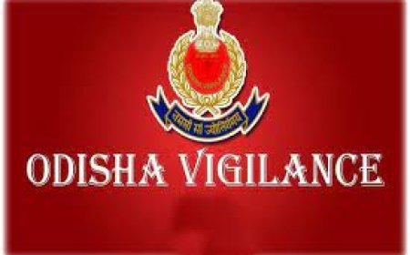 ଭିଜିଲାନ୍ସ ଜାଲରେ ବିଇଓ ଅଫିସ୍ ଆକାଉଣ୍ଟାଣ୍ଟ