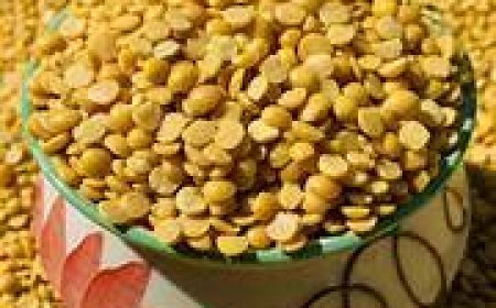 ପୁଣି ବଢ଼ିଲା ହରଡ ଡାଲି ଦର