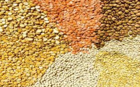 ଆହୁରି ବଢ଼ିବ ଖାଇବା ତେଲ ଓ ଡାଲିର ମୂଲ୍ୟ