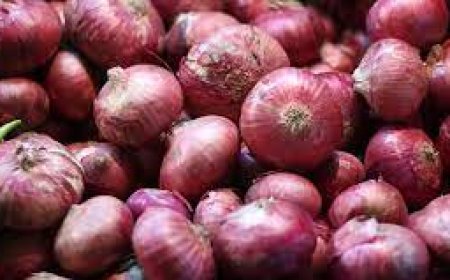 ଅଧିକ ପିଆଜ ଖାଇବା ହୋଇପାରେ ଘାତକ