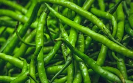 କଞ୍ଚାଲଙ୍କା ଖାଇଲେ ମିଳିଥାଏ ଏହି ସବୁ ସୁବିଧା