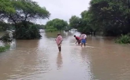 ଲଗାଣ ବର୍ଷା ଯୋଗୁଁ ମହାନଦୀ ତଳି ଅଞ୍ଚଳରେ ବନ୍ୟା, ବଢ଼ୁଛି କୁମ୍ଭୀର ଆତଙ୍କ