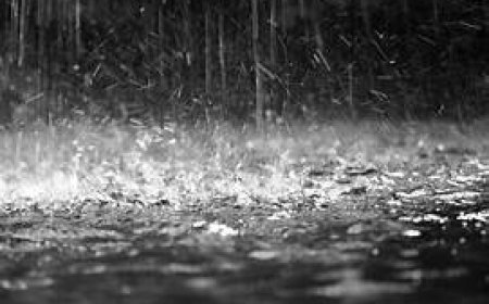 ଅବପାତର ରୂପ ନେଇପାରେ ଲଘୁଚାପ