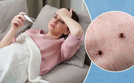 ସ୍କ୍ରବ୍ ଟାଇଫସ୍ : ସୁନ୍ଦରଗଡରେ ପୁଣି ଚିହ୍ନଟ ହେଲେ ୧୪ ରୋଗୀ