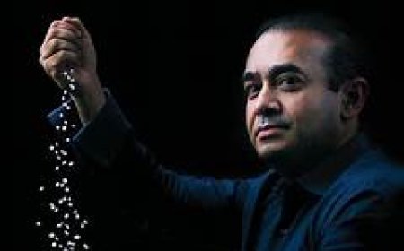 ନିରବ ମୋଦୀଙ୍କ ସମ୍ପତ୍ତି ନିଲାମ ହେବ : ପିଏନ୍‌ବି ଠକେଇ