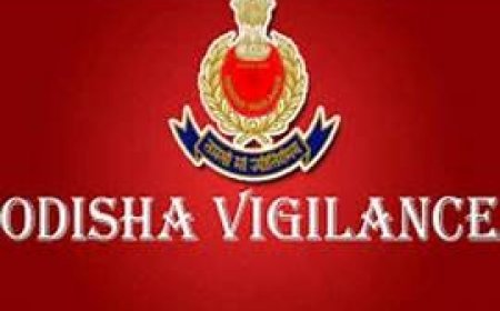 ଭିଜିଲାନ୍ସ ଜାଲରେ ପିଏଚଡ଼ି ଏଷ୍ଟିମେଟର