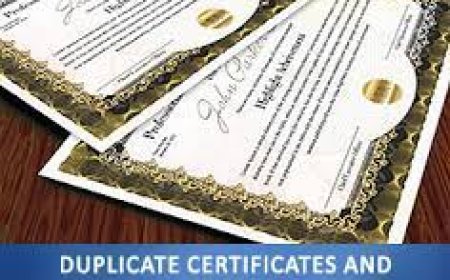 ବିଭିନ୍ନ କମ୍ପାନି ଜାଲ୍‌ କାଗଜପତ୍ର ପ୍ରସ୍ତୁତ କରୁଛନ୍ତି