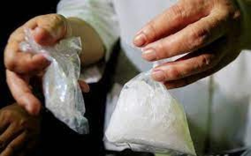 ପିପିଲି ନିକଟରୁ ୧କିଲୋ ୮୦ ଗ୍ରାମ୍ ବ୍ରାଉନସୁଗାର ଜବତ