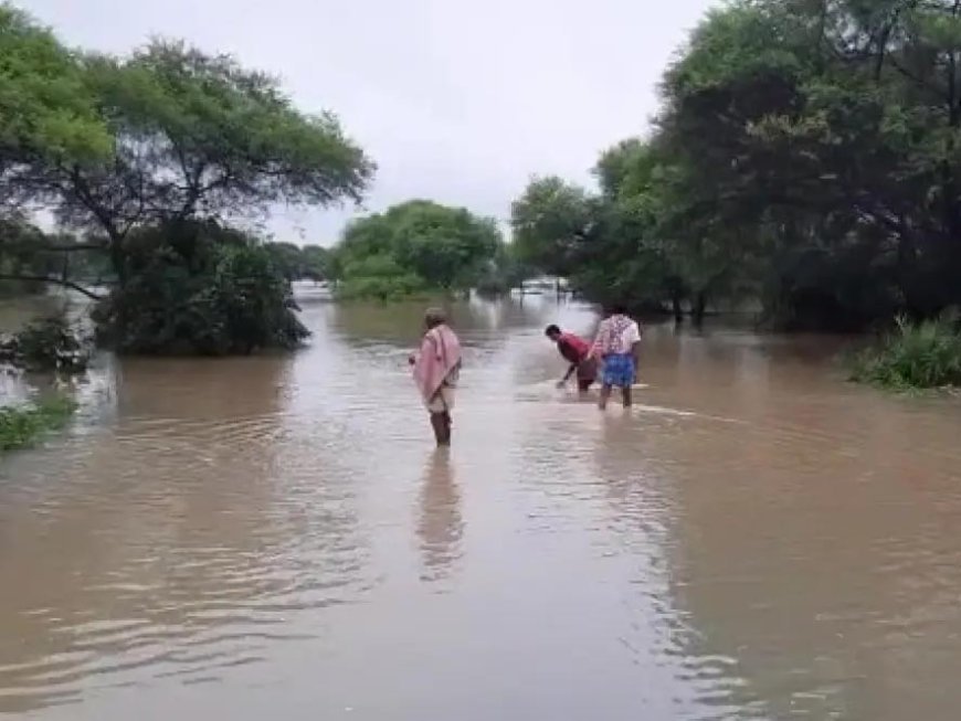ଲଗାଣ ବର୍ଷା ଯୋଗୁଁ ମହାନଦୀ ତଳି ଅଞ୍ଚଳରେ ବନ୍ୟା, ବଢ଼ୁଛି କୁମ୍ଭୀର ଆତଙ୍କ