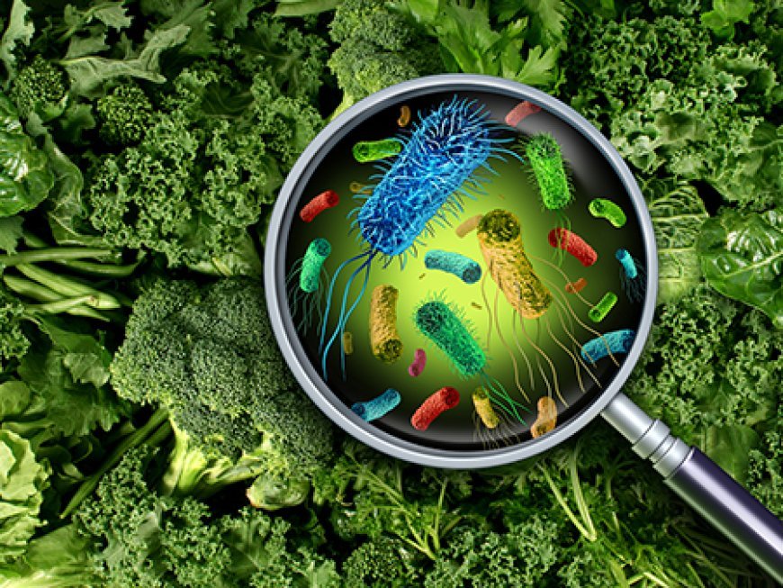 ବିଷାକ୍ତ ଖାଦ୍ୟ ଖାଇ ୧୧ ଅସୁସ୍ଥ