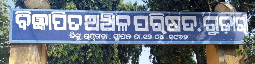 ରାୟଗଡ଼ା ଜିଲ୍ଲାରେ ଅଜଣା ଜନ୍ତୁ ଆକ୍ରମଣରେ ୩୦ ଛେଳି ମୃତ