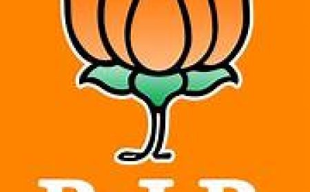 ଓଡିଶାରେ ଫୁଲ ଦମରେ ଲଢିବ ବିଜେପି