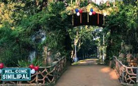 ୧୪ରୁ ପର୍ୟ୍ୟଟକଙ୍କ ପାଇଁ ଖୋଲିବ ଶିମିଳିପାଳ