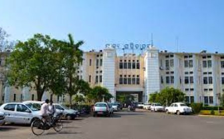 କ୍ୟାବିନେଟ୍: ଲେବର ଟୁର୍ଣ୍ଣାମେଂଟର ଜମିକୁ ଲିଜ୍ ପ୍ରଦାନ କରାଯିବ