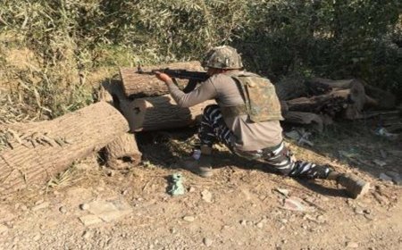 ସୁରକ୍ଷାକର୍ମୀଙ୍କ ଗୁଳିରେ ୫ ଆତଙ୍କୀ ସଫା