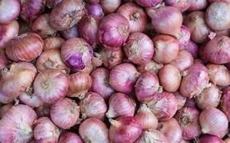 ୯୦ ଟଙ୍କାରେ ବିକ୍ରି ହେଲା ପିଆଜ