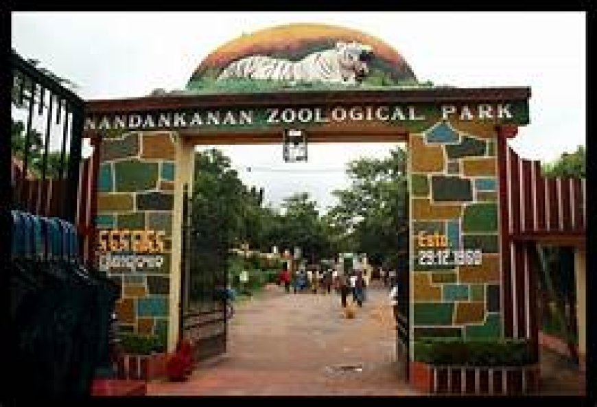 ନନ୍ଦନକାନନରେ ପୁଣି ଏକ ଭାଲୁ ମୃତ