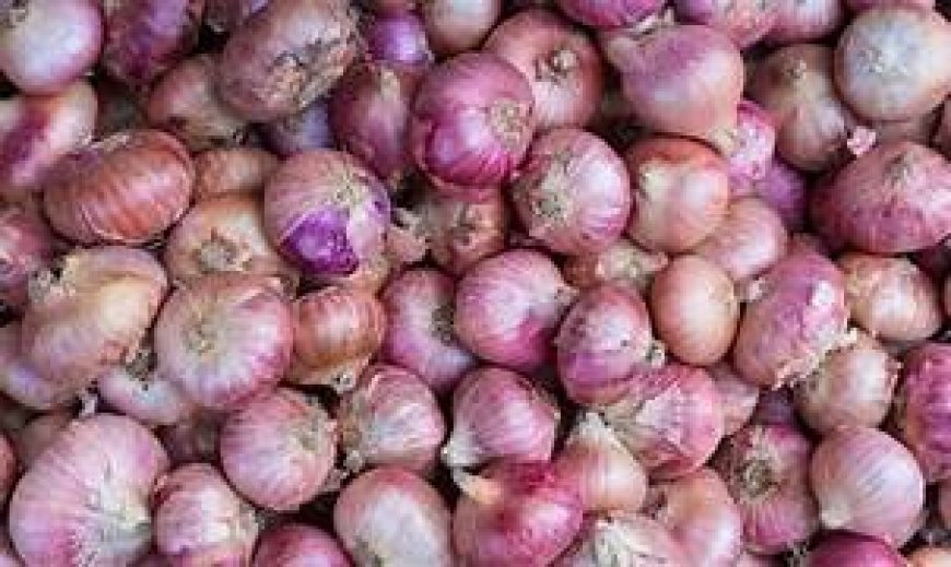 ୯୦ ଟଙ୍କାରେ ବିକ୍ରି ହେଲା ପିଆଜ