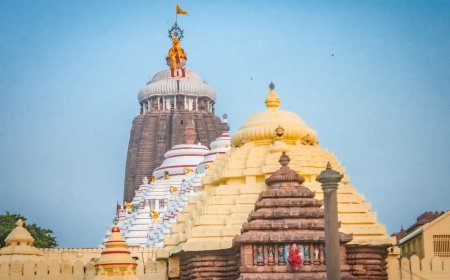 ନୂଆବର୍ଷରୁ ଶ୍ରୀମନ୍ଦିରକୁ ପଲିଥିନ ମନା