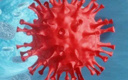 ଚିନ୍ତା ପ୍ରକଟ କଲା WHO: ଓଡ଼ିଶା ସମେତ ୧୨ଟି ରାଜ୍ୟରେ JN.1 ସବ୍-ଭାରିଆଣ୍ଟର ନୂଆ ମାମଲା