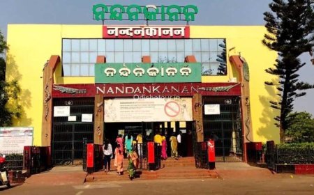 ଆସାମରୁ ନନ୍ଦନକାନନକୁ ଆସିବେ ନୂଆ ଅତିଥି