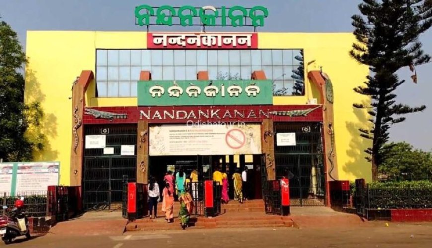 ଆସାମରୁ ନନ୍ଦନକାନନକୁ ଆସିବେ ନୂଆ ଅତିଥି