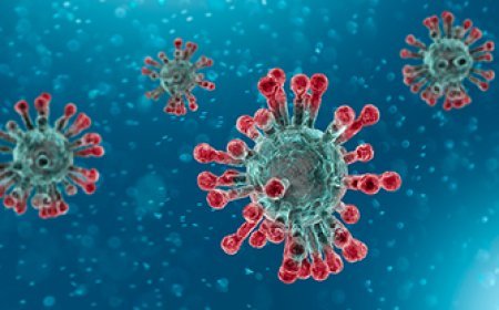 ବ୍ୟାପୁଛି ମଙ୍କିପକ୍ସ; ଦୁଇ ବର୍ଷ ମଧ୍ୟରେ ଦ୍ୱିତୀୟ ଥର ପାଇଁ ଜରୁରୀକାଳୀନ ପରିସ୍ଥିତି ଘୋଷଣା କଲା WHO