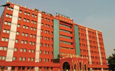 ଦଶହରା ଉତ୍ସବକୁ ନେଇ ହାଇକୋର୍ଟଙ୍କ କଡ଼ା ନିର୍ଦ୍ଦେଶ, ରାସ୍ତା ଉପରେ ତୋରଣ ନିର୍ମାଣକୁ ବାରଣ କଲେ ହାଇକୋର୍ଟ