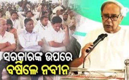 ଆମ୍ବ ଟାକୁଆ ପ୍ରସଙ୍ଗ: ରାଜ୍ୟ ସରକାରଙ୍କୁ ଟାର୍ଗେଟ କଲେ ନବୀନ