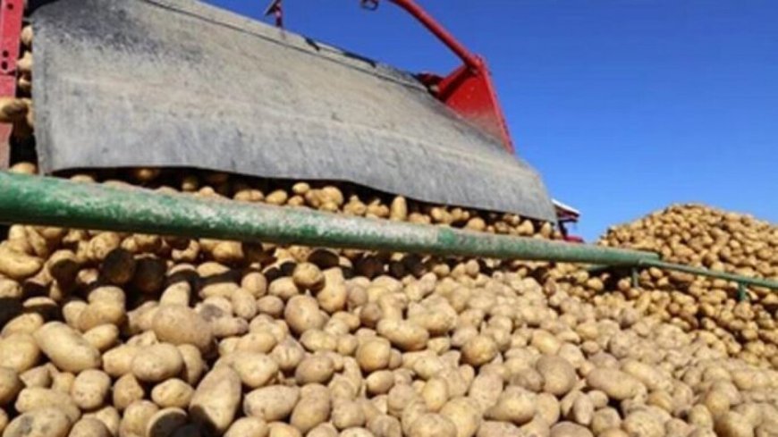 ପୁଣି ଆଳୁ ଅଟକାଇଲେ ମମତା,