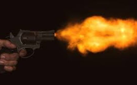 ଦିନ ଦିପହରେ ରାଜଧାନୀରେ ଗୁଳିକାଣ୍ଡ: