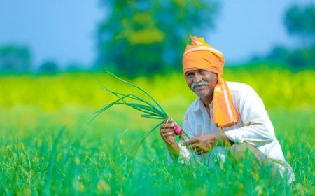 ଖରିଫ ଫସଲ ପାଇଁ ରାଜ୍ୟରେ ୭.୯୪ ଲକ୍ଷ ମେଟ୍ରିକ୍ ଟନ୍ ସାର