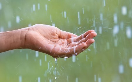 ଆଗାମୀ ୩ ଘଣ୍ଟା ପାଇଁ ରାଜ୍ୟର ବିଭିନ୍ନ ଜିଲ୍ଲାକୁ ସତର୍କ