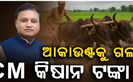 ଚାଷୀଙ୍କ ଖାତାକୁ ଗଲା CM କିଷାନ ଯୋଜନାର ତୃତୀୟ କିସ୍ତି ଟଙ୍କା