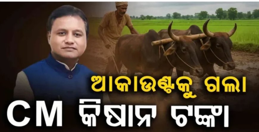 ଚାଷୀଙ୍କ ଖାତାକୁ ଗଲା CM କିଷାନ ଯୋଜନାର ତୃତୀୟ କିସ୍ତି ଟଙ୍କା