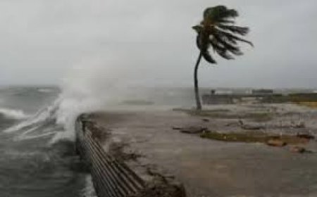 ମେଲିସାର ତାଣ୍ଡବ: ୭ ମୃତ