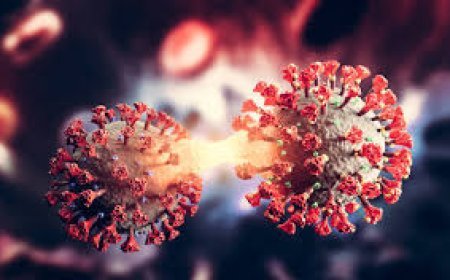 ପୁଣି ବ୍ୟାପୁଛି କରୋନାର ନୂଆ ଭାରିଆଣ୍ଟ, ଜାଣନ୍ତୁ ଏହାର ଲକ୍ଷଣ ବିଷୟରେ