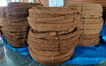 ଥଯାତ୍ରା ପାଇଁ ପୁରୀରେ ପହଞ୍ଚିଲା ଦଉଡ଼ି